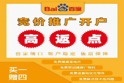 行业报告：专业SEM托管的成功实践与挑战